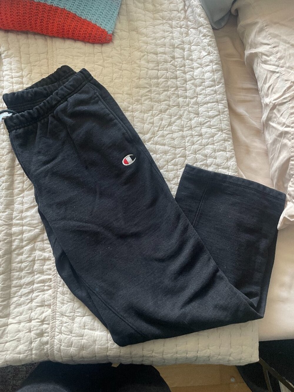 Champion reverse weave sweatpants